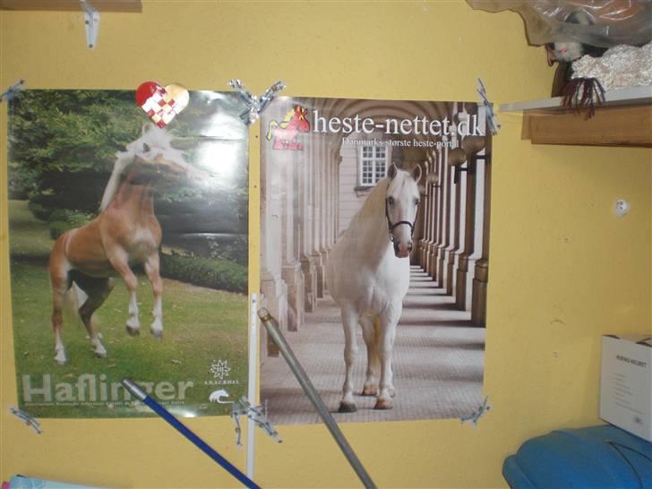 Ungdomsværelse 1 billede 12