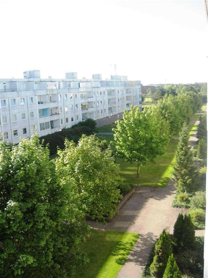 Lejlighed 3  - Udsigten fra franskealtan i soveværelset billede 11