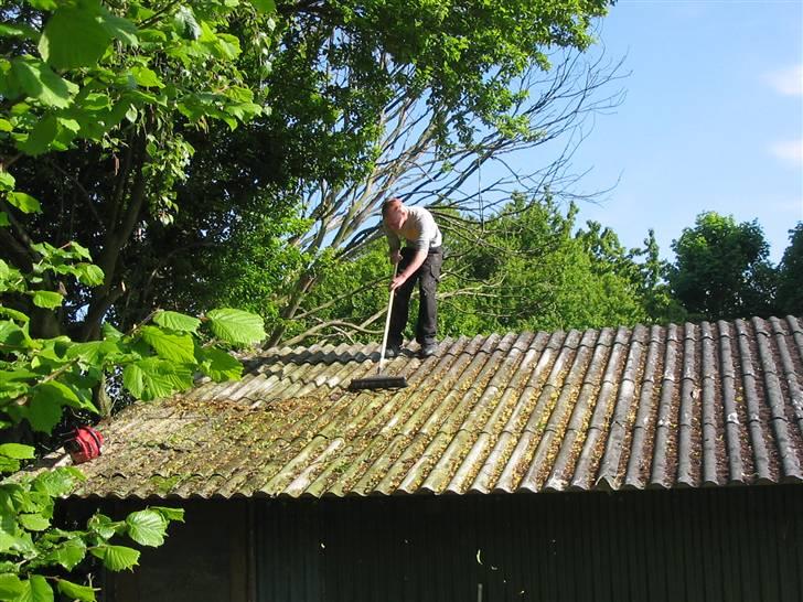 Landejendom 6 - gode venner har man brug for når der er arbejdes... billede 5