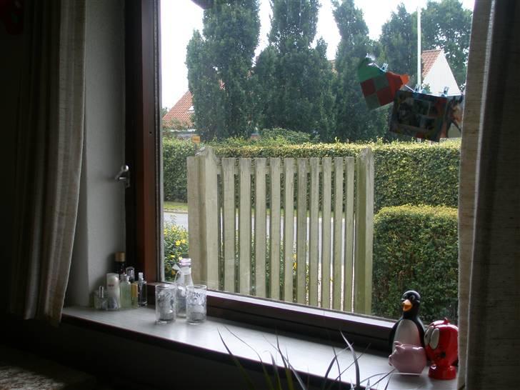 Ungdomsværelse Det sejeste <33 - Vindue ud til vejen.. Dårlig udsigt O.o billede 3