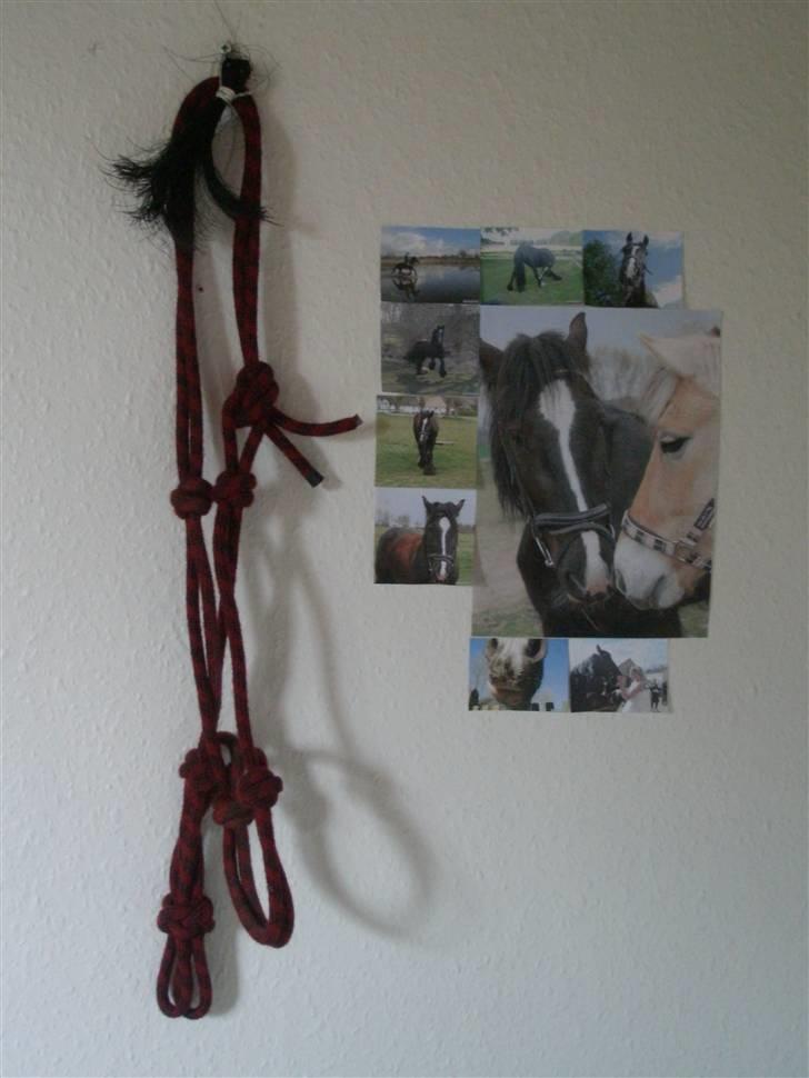 Ungdomsværelse Det sejeste <33 - Min "sunshine" væg.. Savner den hest.. Billeder er nu de minder jeg har tilbage.. Hun betyder alt :* billede 9