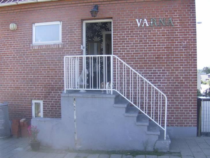 Villa 6 - trappe indgang billede 2
