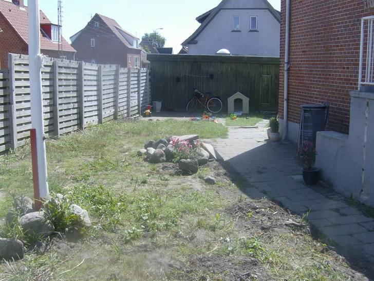 Villa 6 - Haven som snart skal graves op, og gøres i stand billede 4