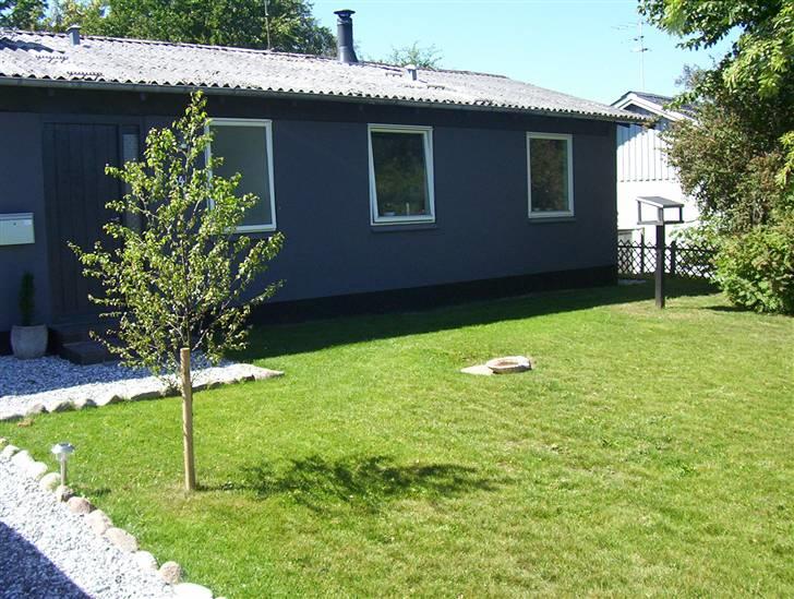 Villa 2 - Ny græsplæne  billede 4