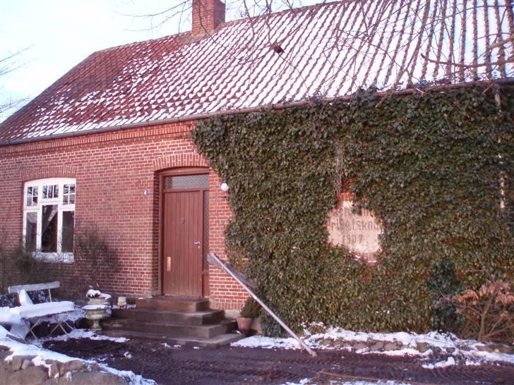 Villa 5 - ja selv i marts kan der komme frost...:-( billede 5