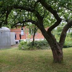 Villa 6 v. incl kælder