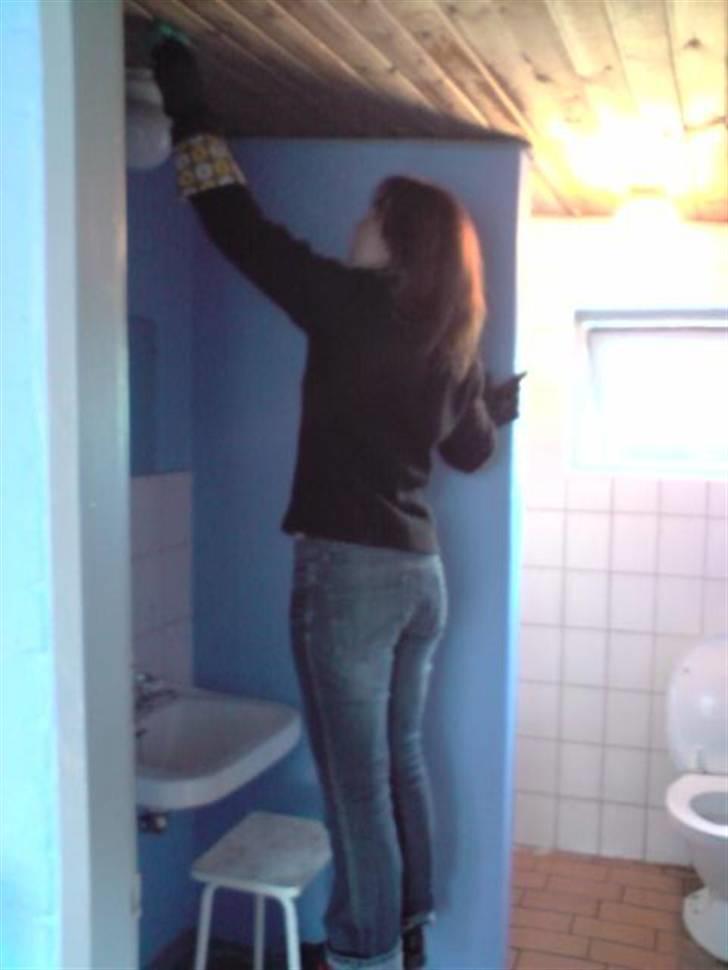 Landejendom 3 billede 4