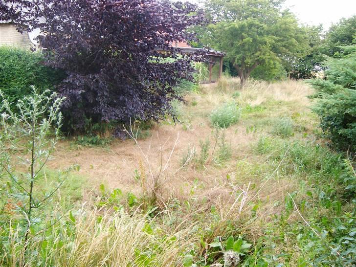 Landejendom 8 billede 2