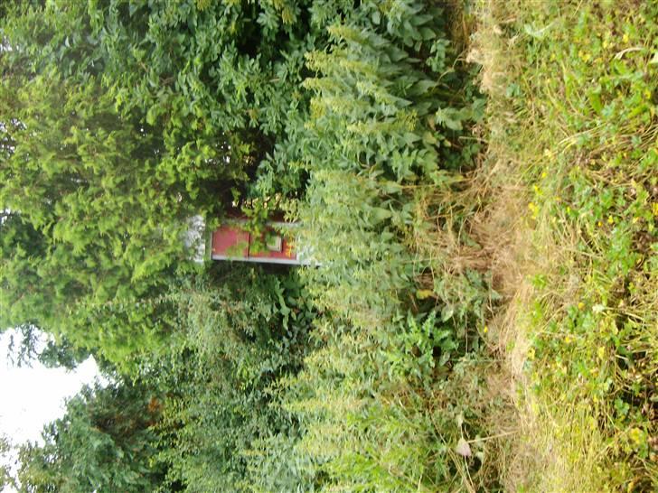 Landejendom 8 billede 4