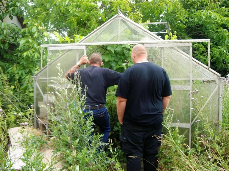 Landejendom 8 billede 6