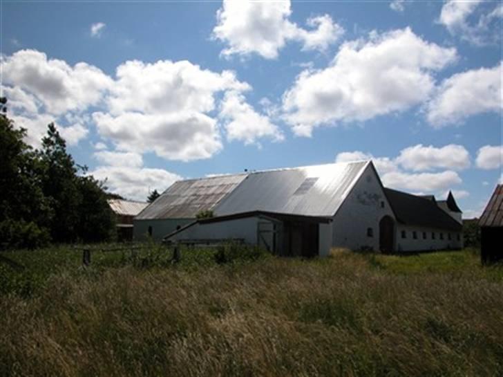 Landejendom 3 billede 2