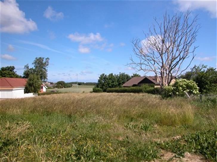 Landejendom 3 billede 3