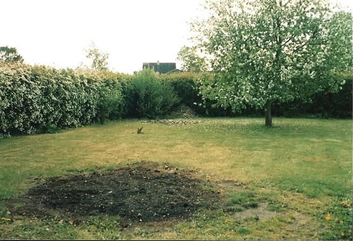 Villa - SOLGT -  - Haven billede 20