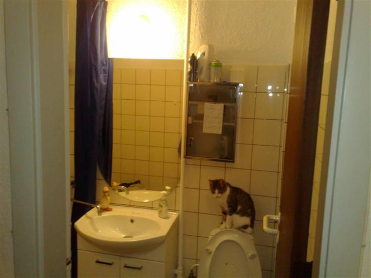 Lejlighed 1 - badeværelse billede 2