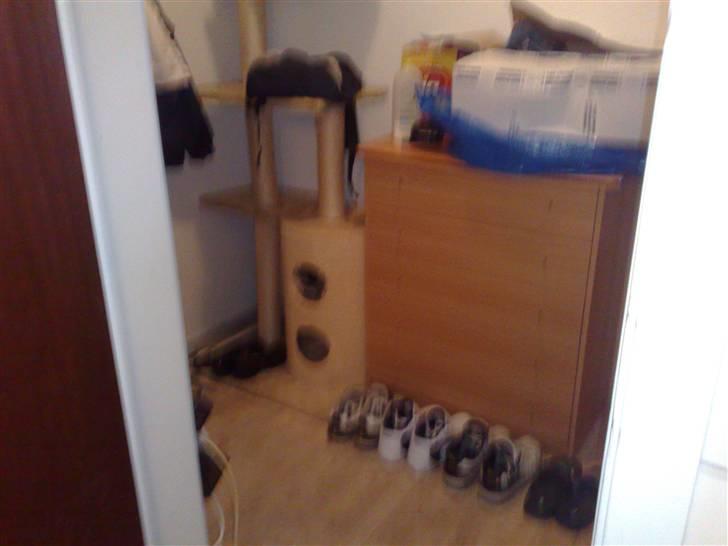 Lejlighed 1 - entre billede 4