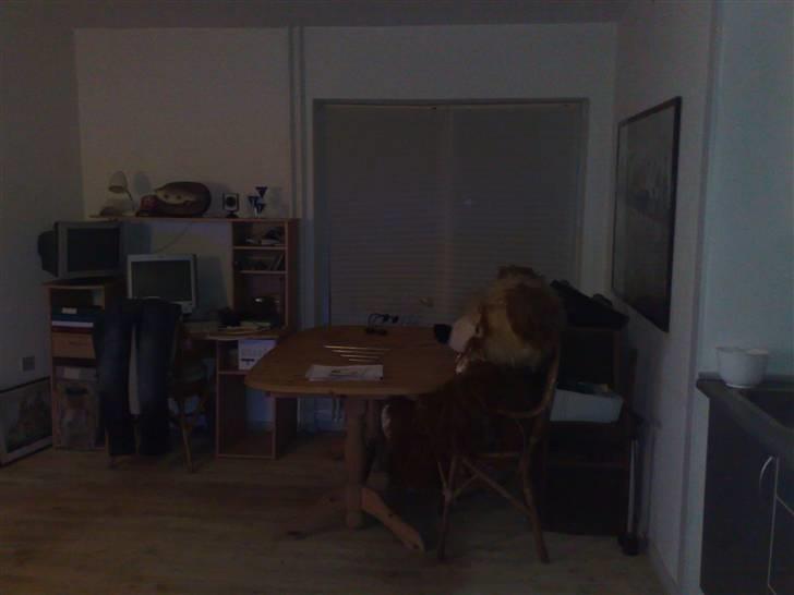 Lejlighed 1 - "spisestue" billede 8