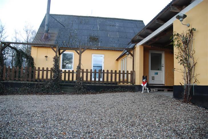 Landejendom 4 billede 5