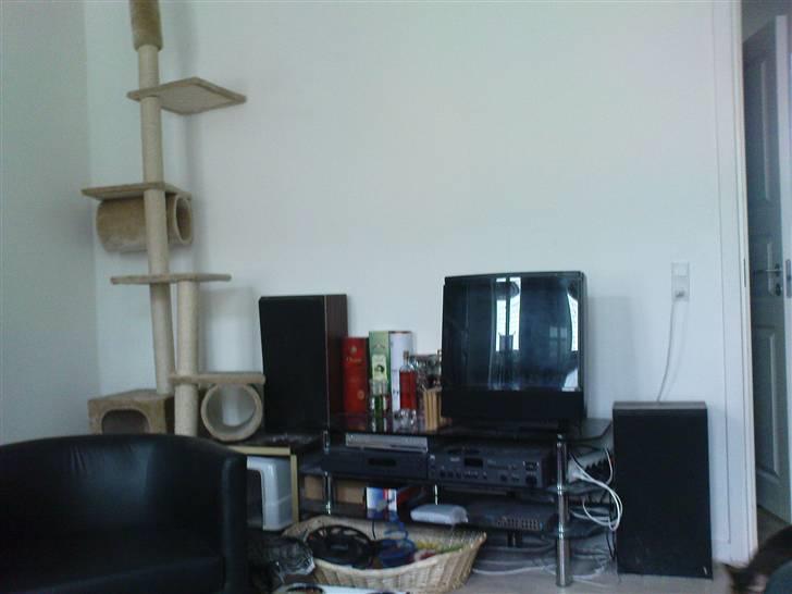 Lejlighed 2V - 2. sal - Amager -  HIFi sektionen; Alt (undtagen DVD-afspiller) er enten NAD eller B&O) billede 10