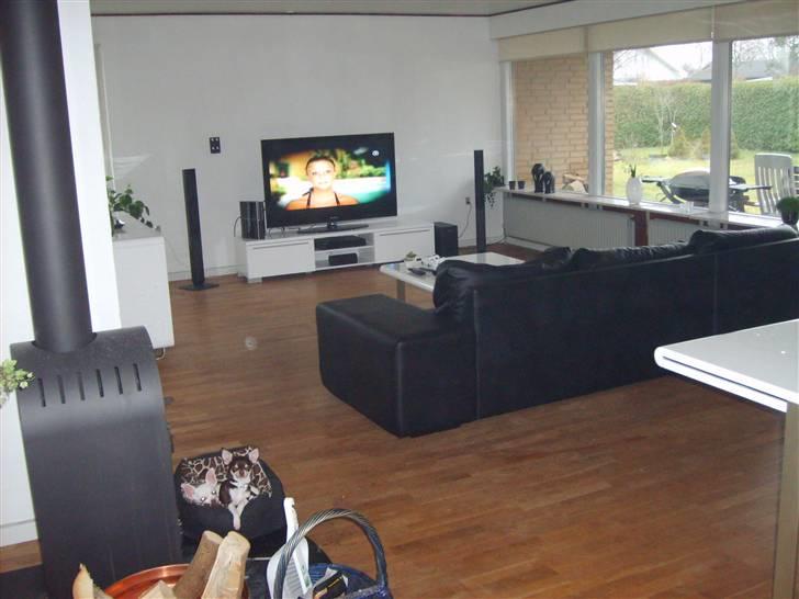 Villa   Sæby - 09-03-09 billede 14