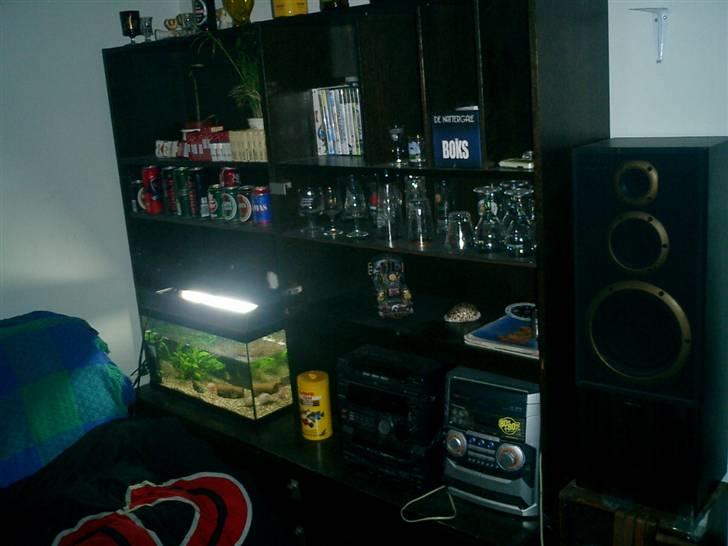 Ungdomsværelse 1 - min reolog mit akvarie billede 6