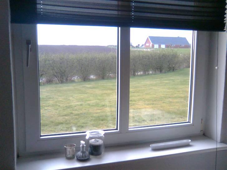 Lejlighed - fraflyttet jul. 2009 billede 14