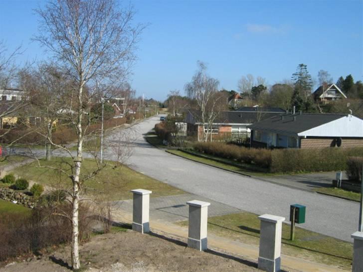 Villa 10 (søger bofællere) - Udsigten fra den lille altan 2/4-09 billede 4