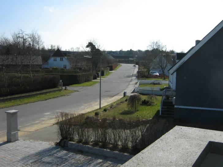 Villa 10 (søger bofællere) - Udsigten fra den lille altan 2/4-09 billede 5