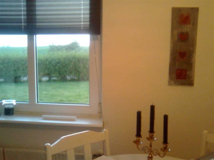 Lejlighed - fraflyttet jul. 2009 - Selv-kreeret maleri. billede 20