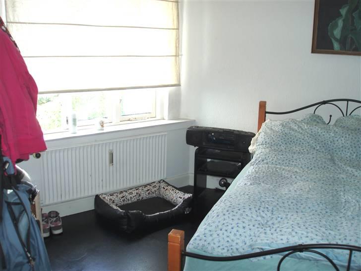 Lejlighed 2 billede 13