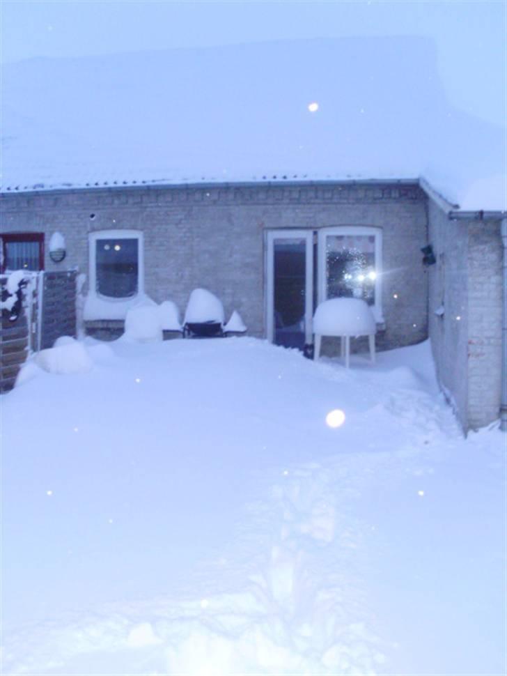 Rækkehus 4 - Set fra haven, i snevejret januar 2010 billede 1