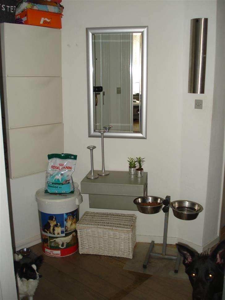 Lejlighed 2 - hundene skulle nok lige se hva jeg lavede ;) heh´..  billede 5