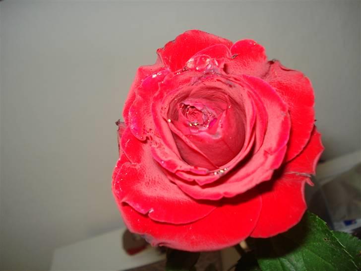 Lejlighed 2 - - fra jonas. :) billede 6