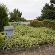 Rækkehus 3 +