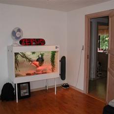 Ungdomsværelse Skater Crib*