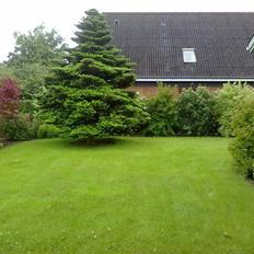Villa 3