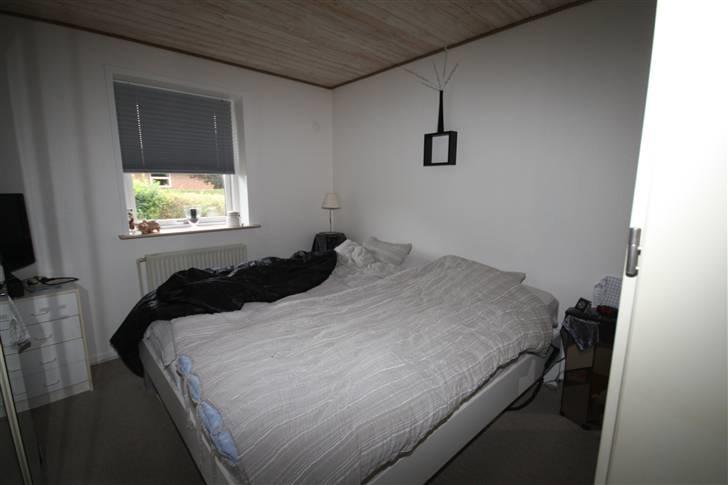 Rækkehus 3 + - Marster Beed- rum Spejl / 26" TV med DVD HDMI / Elevationssenge  :-0) billede 17