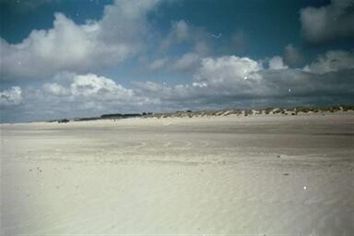 Landejendom 3/1 - 30 km til Rømø strand billede 16