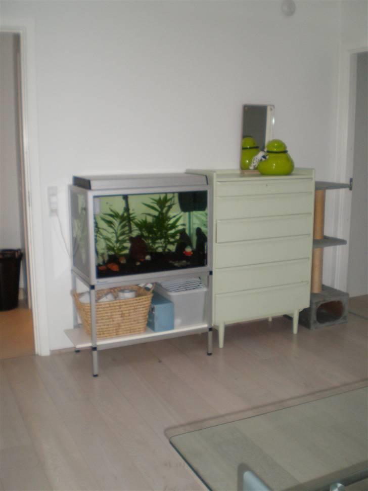 Rækkehus 3 - 185liters akvastabil  billede 6