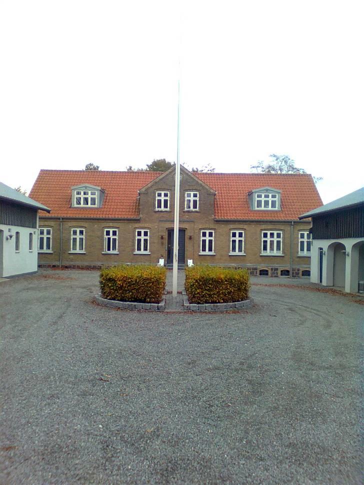 Ungdomsværelse 1 - Lige et billede af huset :) billede 6