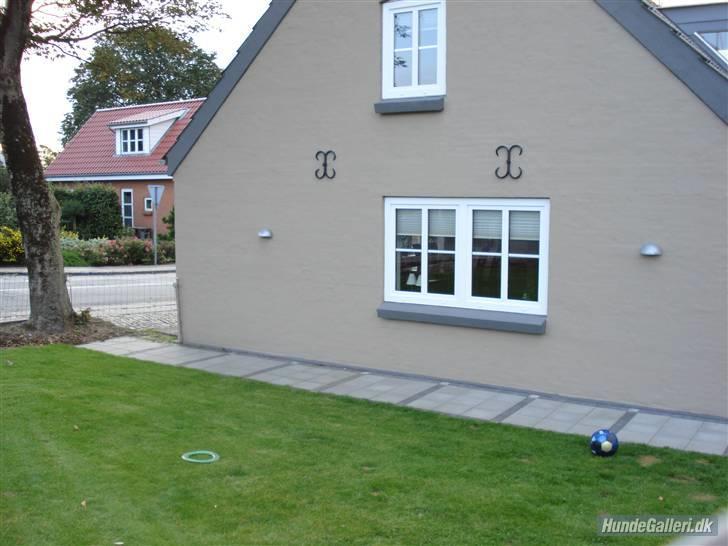 Villa 3 - set fra haven billede 2