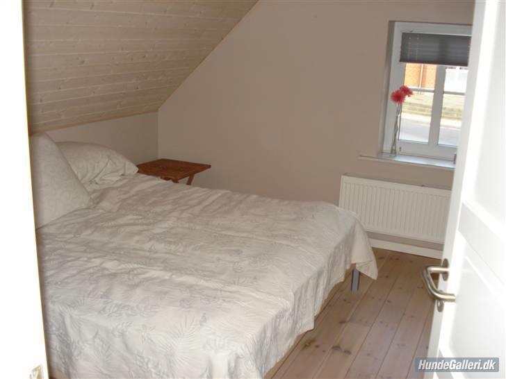 Villa 3 - soveværelset billede 8