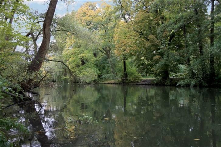 Lejlighed 2 billede 7