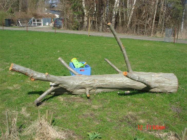 Sommerhus 3 billede 16