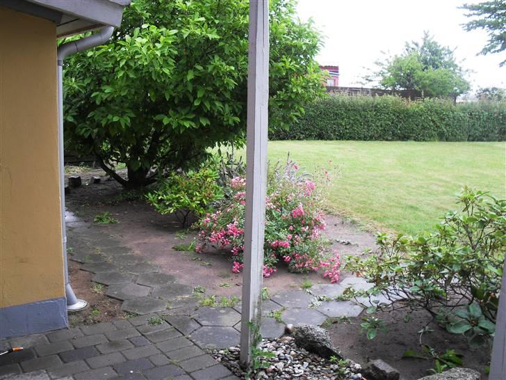 Landejendom 3 - Udkig til vores anden grund billede 5