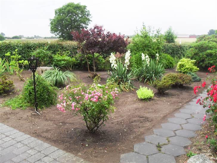Landejendom 3 - Noget er det nylavet blomserbed, er ikke helt færdig endnu billede 6