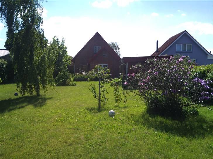Villa 3 billede 2