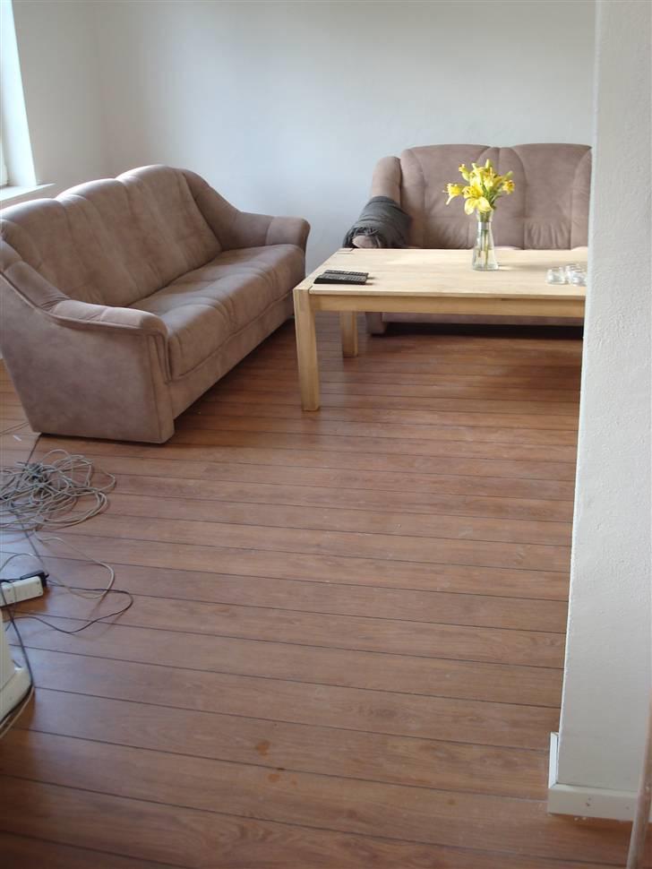 Villa 6 - Støvet er gratis.. Men sådan ser gulvet ud *S* billede 11