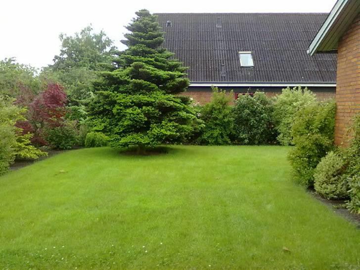 Villa 3 - have  billede 2