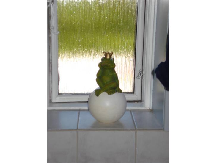 {{currentPhoto.altText}} billede {{currentPhoto.number}}