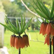 Landejendom 6 Enghavegaard